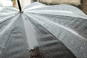 酸性雨は今でも降っている