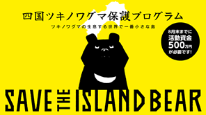 四国のツキノワグマが絶滅の危機に