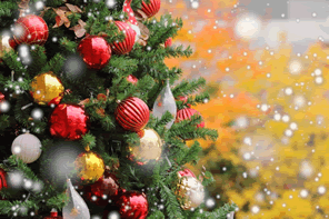 クリスマスツリーはいつからいつまで飾る？由来・飾り方・世界の違い・最近のトレンドまで徹底解説