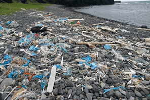 コスタリカはプラスチックフリーも目指す