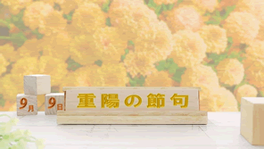 重陽の節句の体験談｜9月9日に菊を飾った人、祖母から教わった人、それぞれの秋の思い出