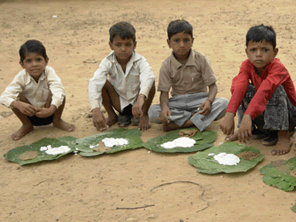 インド郊外の村にモリンガを栽培して子供たちの栄養不足改善と雇用拡大を目指す