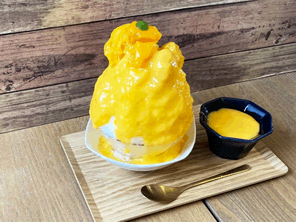 最近のかき氷は昔と何が違う？2000円は高い？家でもふわふわかき氷は作れる？