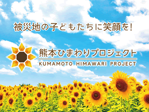 熊本県益城町にひまわりを咲かせる