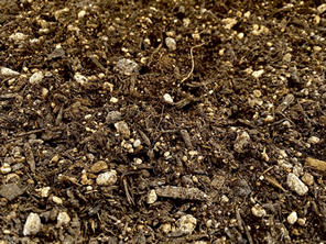 土壌微生物のすごい働き