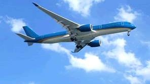 持続可能な航空燃料（SAF）の普及