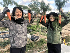 生ごみを資源化して野菜を作る取り組みを一歩ずつ