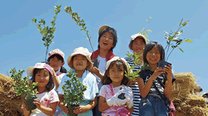 苗木から育てて植樹する津波から命を守る活動を支援する